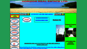 What Horizonsvg.com website looked like in 2020 (4 years ago)