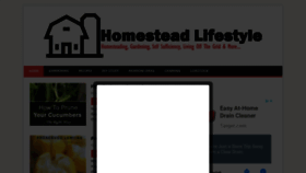 What Homesteadlifestyle.com website looked like in 2020 (4 years ago)