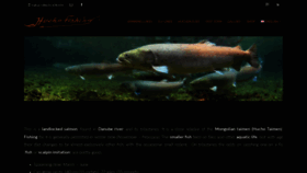 What Huchofishing.com website looked like in 2020 (4 years ago)