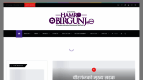 What Hamrobirgunj.com website looked like in 2020 (4 years ago)
