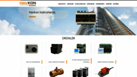 What Havkon.com website looked like in 2020 (3 years ago)