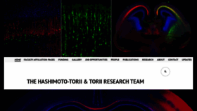 What Hashimototorii.org website looked like in 2020 (4 years ago)
