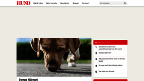 What Harligahund.se website looked like in 2020 (4 years ago)