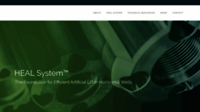What Healsystems.com website looked like in 2020 (3 years ago)