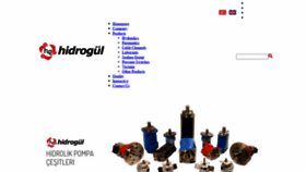 What Hidrogul.com.tr website looked like in 2020 (3 years ago)