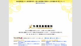 What Hozawa.jp website looked like in 2020 (3 years ago)