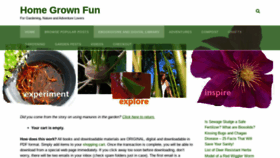 What Homegrownfun.com website looked like in 2020 (3 years ago)