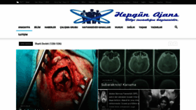 What Hepgun.com website looked like in 2020 (3 years ago)