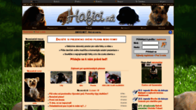 What Hafici.net website looked like in 2020 (3 years ago)