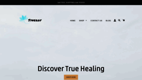 What Healthsynergy.co.za website looked like in 2020 (3 years ago)