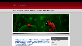 What Hitresim.com website looked like in 2020 (3 years ago)