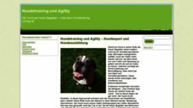 What Hundetraining.net website looked like in 2020 (3 years ago)