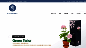 What Hsflower.co.kr website looked like in 2020 (3 years ago)