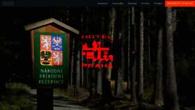What Hotel-praha-vyzlovka.cz website looked like in 2020 (3 years ago)
