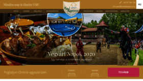 What Hotelkapitany.hu website looked like in 2020 (3 years ago)