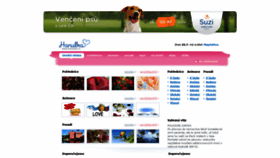 What Hanulka.cz website looked like in 2020 (3 years ago)