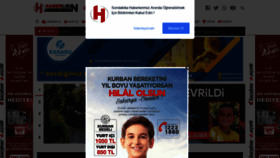 What Haberlisin.com website looked like in 2020 (3 years ago)