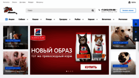 What Hvoost.ru website looked like in 2020 (3 years ago)