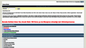 What Havasokulu.com website looked like in 2020 (3 years ago)