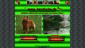 What Harzfuchs.de website looked like in 2020 (3 years ago)
