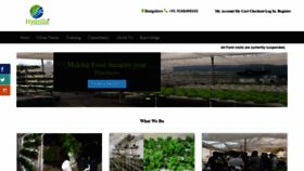 What Hydrilla.in website looked like in 2020 (3 years ago)