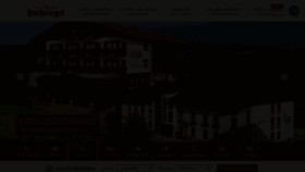 What Hotel-hochriegel.de website looked like in 2020 (3 years ago)
