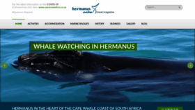 What Hermanusonline.mobi website looked like in 2020 (4 years ago)