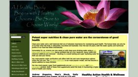 What Healthy-action.com website looked like in 2020 (3 years ago)