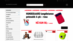 What Hundegaard.no website looked like in 2020 (3 years ago)