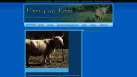 What Hairycowfarm.com website looked like in 2020 (3 years ago)