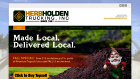 What Holdeninc.com website looked like in 2020 (3 years ago)