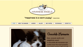 What Havaneseangels.com website looked like in 2020 (3 years ago)