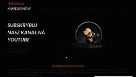 What Hodowlakameleonow.pl website looked like in 2020 (3 years ago)