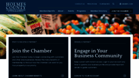 What Holmescountychamber.com website looked like in 2021 (3 years ago)