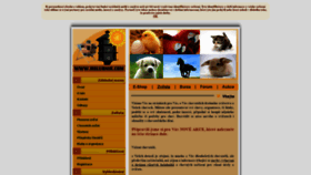 What Holubnik.com website looked like in 2021 (3 years ago)