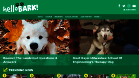 What Hellobark.com website looked like in 2021 (3 years ago)