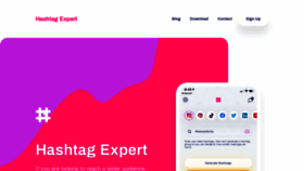 What Hashtag.expert website looked like in 2021 (3 years ago)