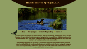 What Hillbillyheavenspringers.com website looked like in 2021 (3 years ago)