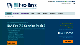 What Hex-rays.com website looked like in 2021 (3 years ago)