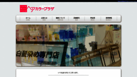 What Haircolorplaza.jp website looked like in 2021 (3 years ago)