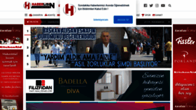 What Haberlisin.com website looked like in 2021 (2 years ago)