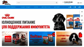 What Hvoost.ru website looked like in 2021 (2 years ago)