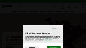 What Helsam.dk website looked like in 2021 (2 years ago)