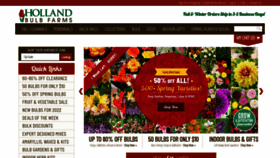 What Hollandbulbfarms.com website looked like in 2022 (2 years ago)