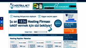 What Hostbul.net website looked like in 2022 (2 years ago)