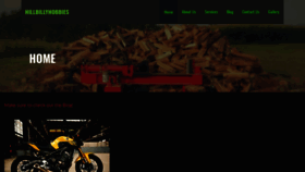 What Hillbillyhobbies.com website looked like in 2022 (3 years ago)