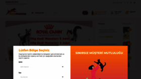 What Hizlimama.com website looked like in 2022 (2 years ago)