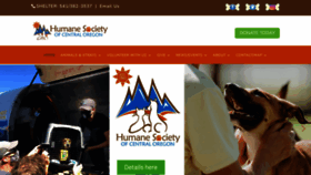What Hsco.org website looked like in 2022 (2 years ago)