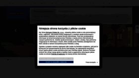 What Hormann.pl website looked like in 2022 (1 year ago)