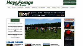 What Hayandforage.com website looked like in 2022 (2 years ago)